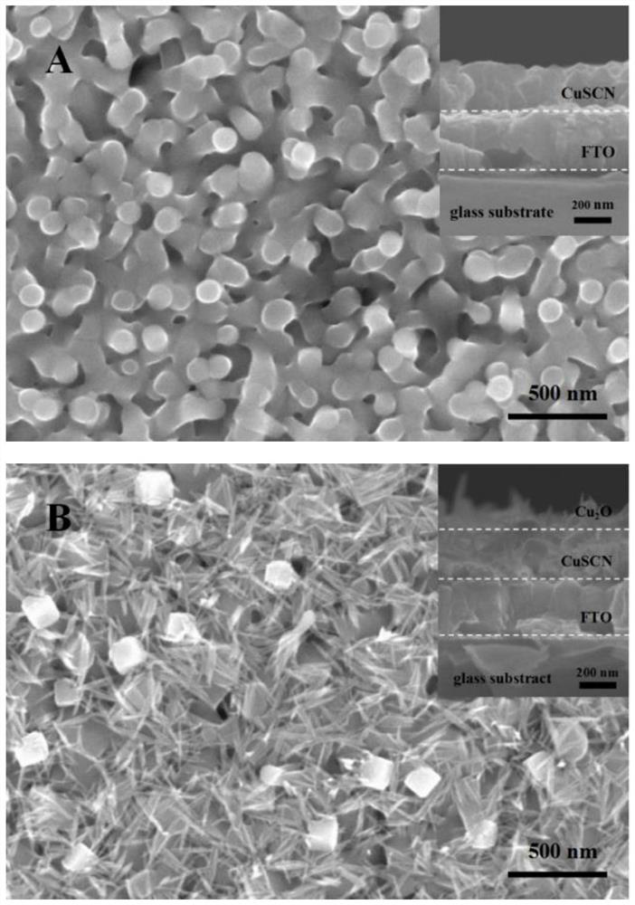 A cuprous oxide/cuprous thiocyanate heterojunction photoelectric thin film and its preparation method