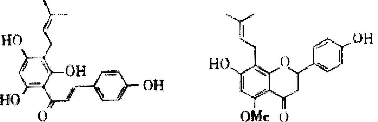 Lupulus extract containing xanthohumol and preparation method thereof