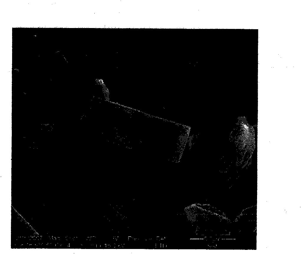 Method for preparing nano diflubenzuron microcapsules