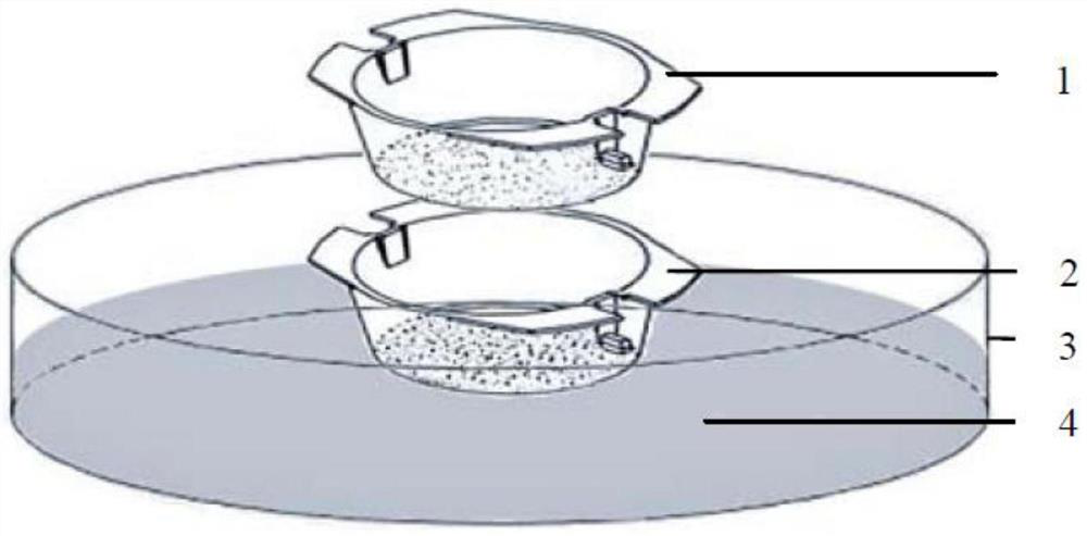 A method for isolating and culturing fish high-fat stored hepatocytes