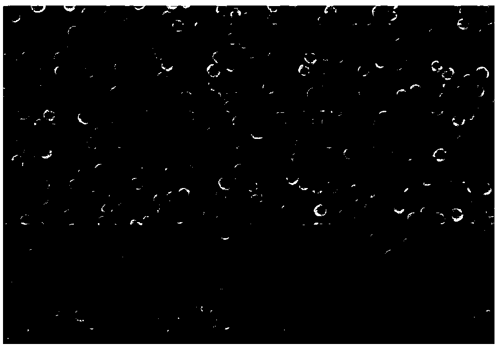 Preparation method for two-dimensional single-layer Ag SHINs membrane