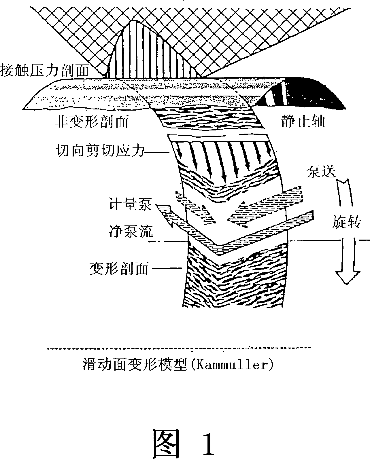 Oil seal and production method therefor