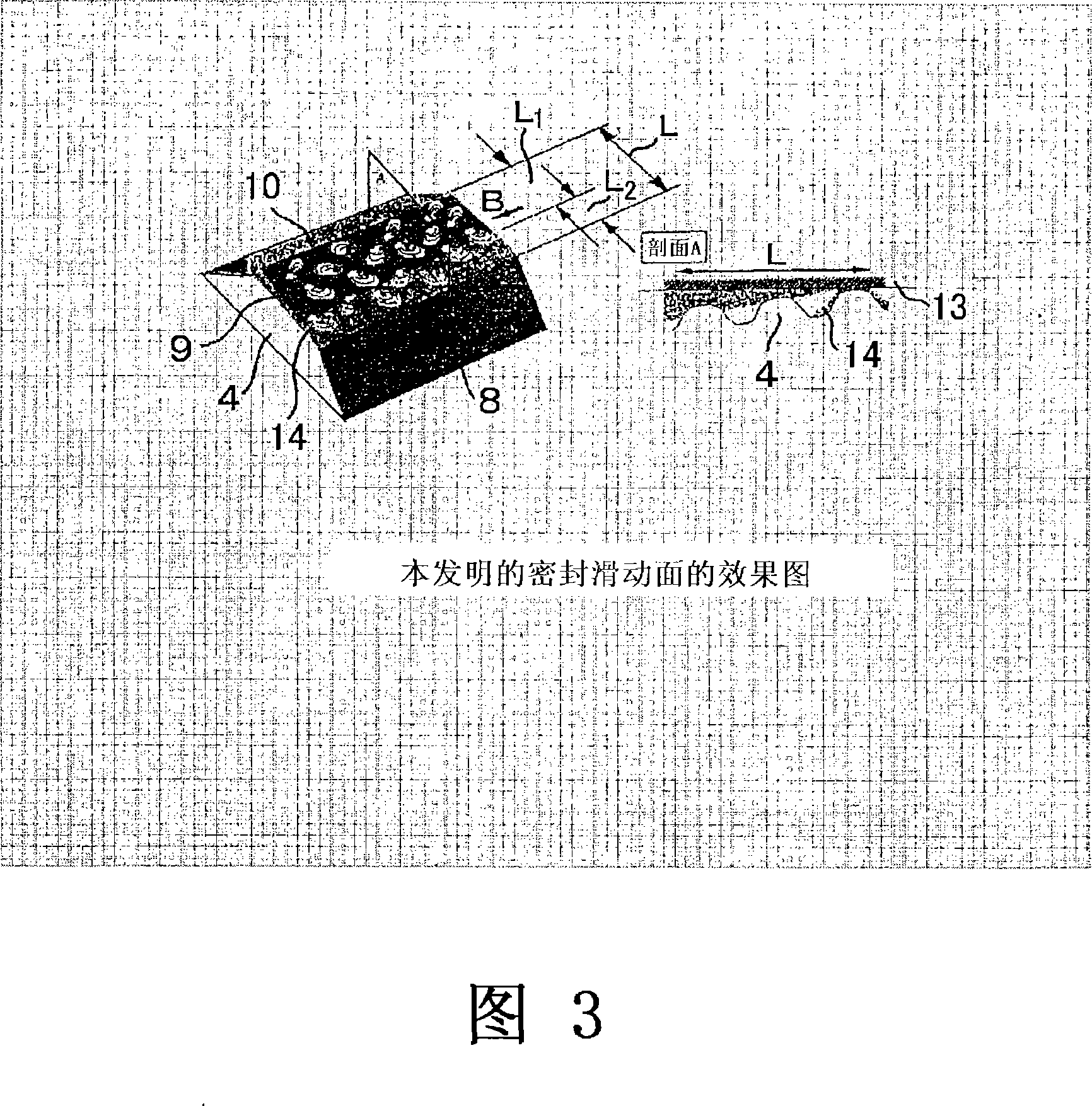 Oil seal and production method therefor