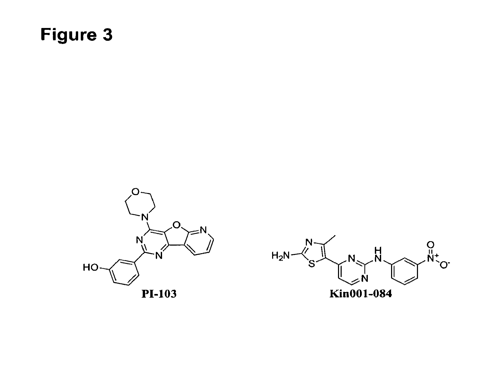 Soluble mTOR complexes and modulators thereof