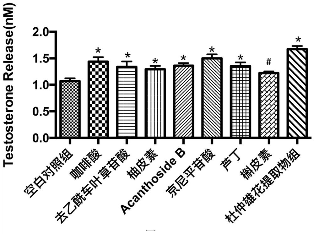 Preparation method and application of eucommia ulmoides male flower extract with anti-fatigue effect