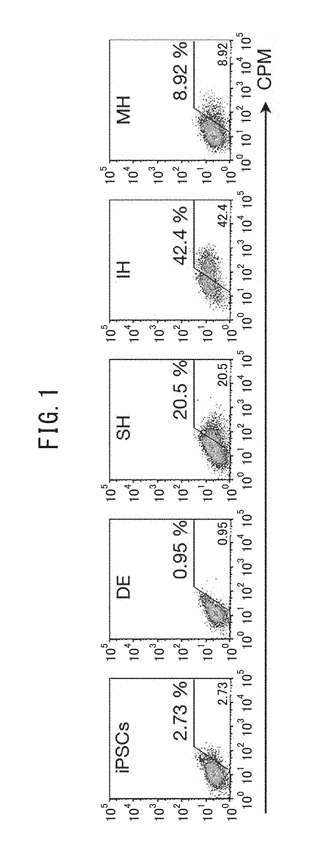 Hepatocytes and hepatic non-parenchymal cells, and methods for preparation thereof
