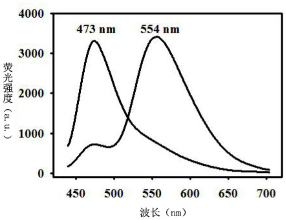 A fluorescent probe for detecting hydrogen peroxide, its synthesis method and application