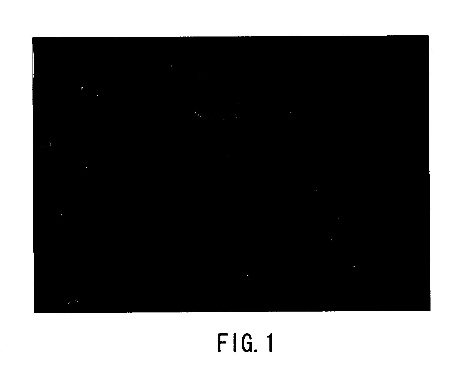 Process For Producing Aluminum Nitride Crystal And Aluminum Nitride Crystal Obtained Thereby