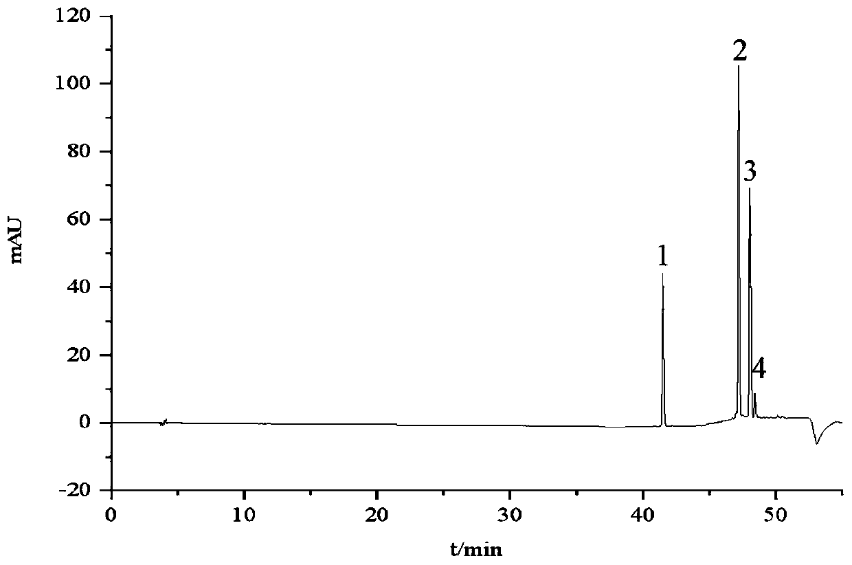 Orange peel soup fermented beverage and preparation method thereof