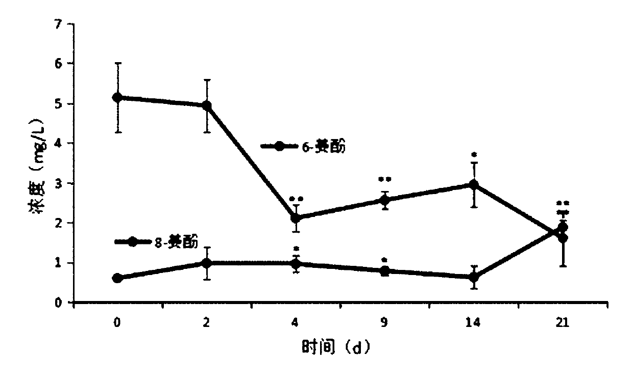 Orange peel soup fermented beverage and preparation method thereof