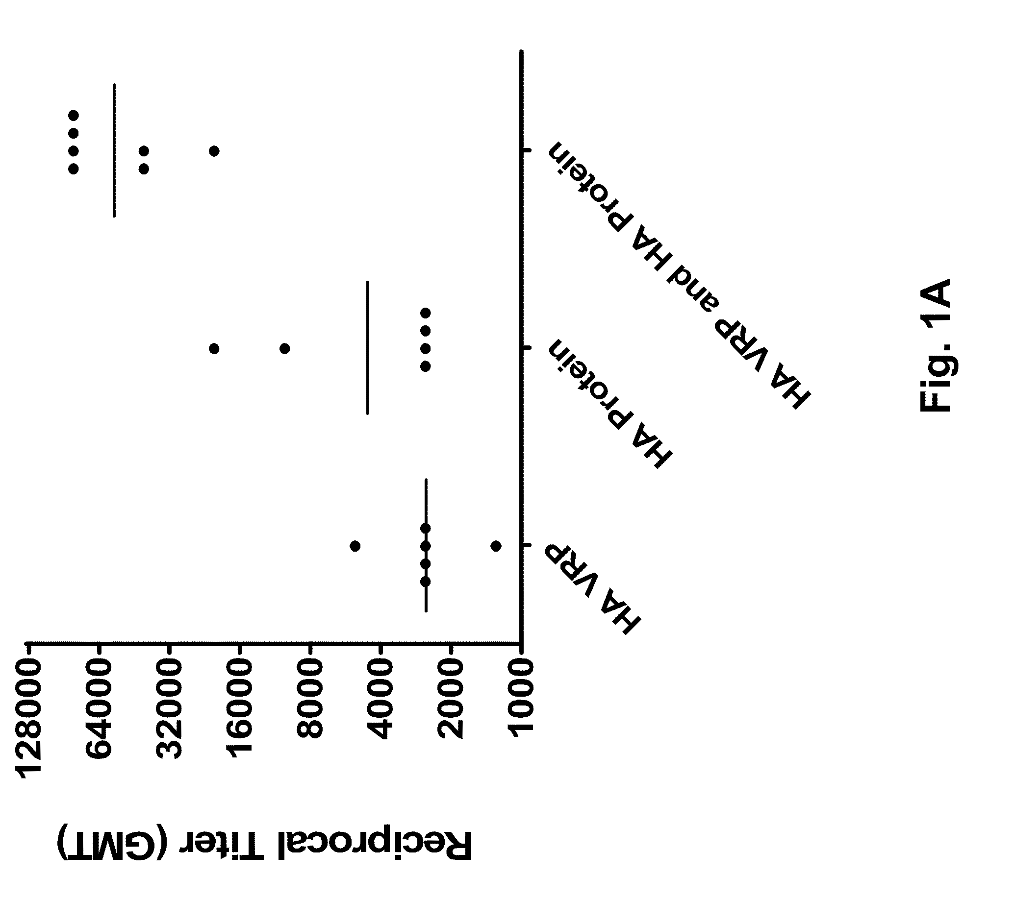 Alphavirus replicon particles matched to protein antigens as immunological adjuvants