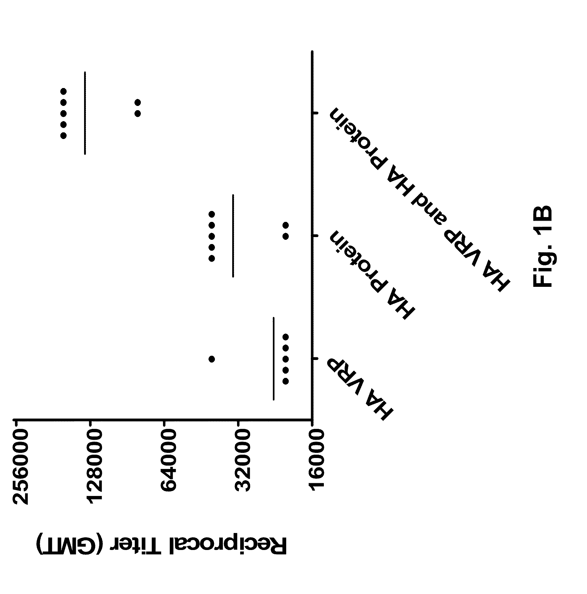 Alphavirus replicon particles matched to protein antigens as immunological adjuvants