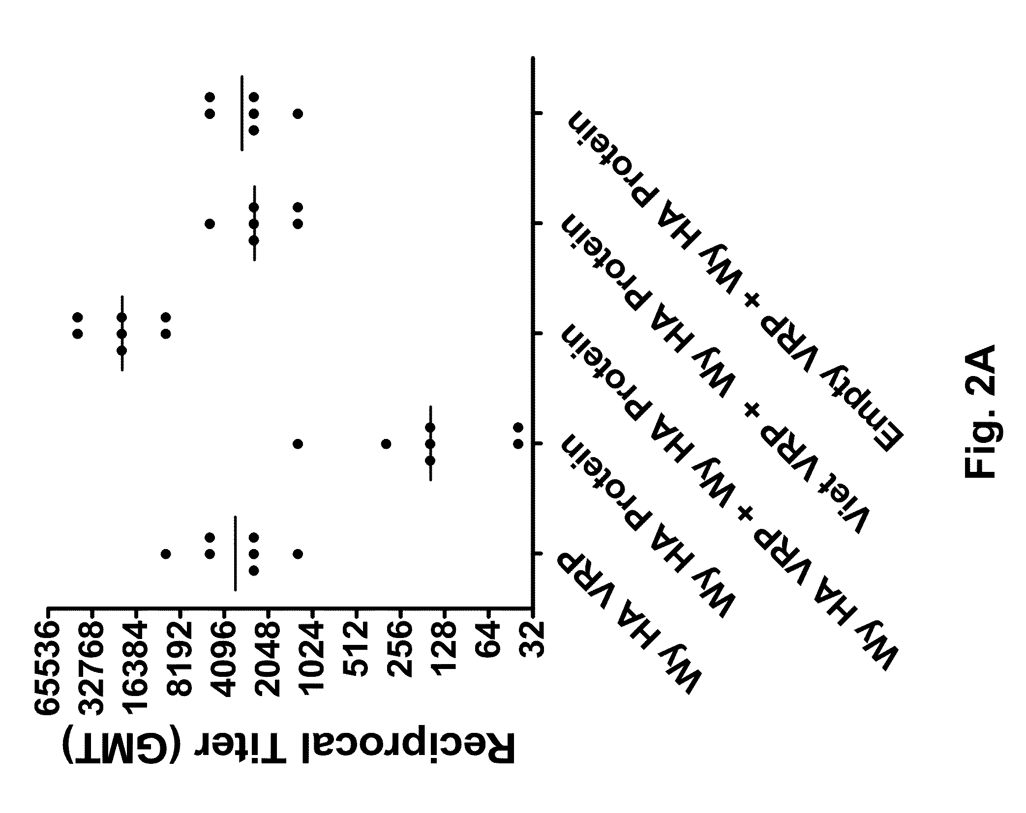 Alphavirus replicon particles matched to protein antigens as immunological adjuvants