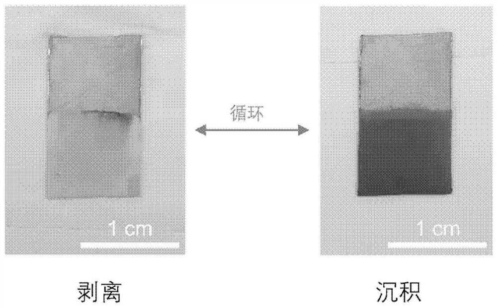 Electrolyte for metal nickel coating and application of electrolyte