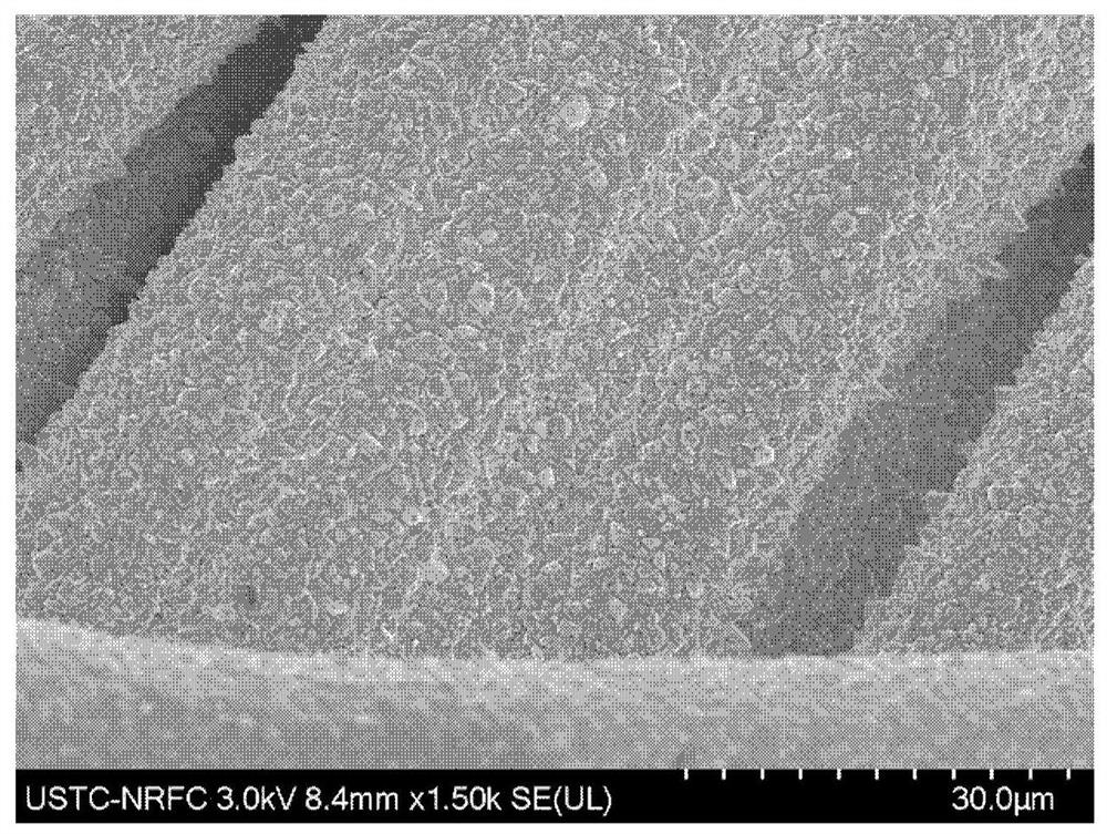 Electrolyte for metal nickel coating and application of electrolyte