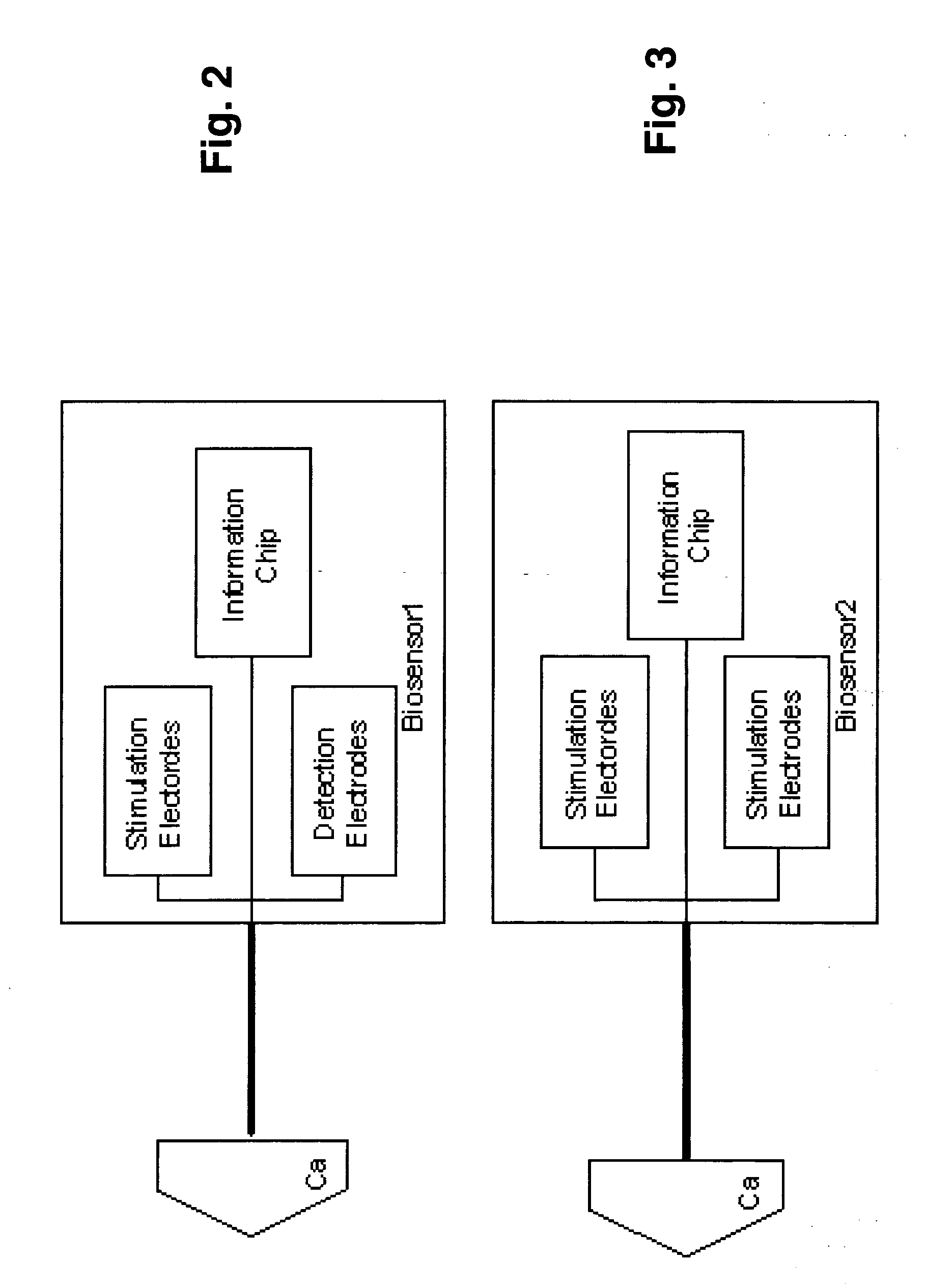 Apparatus and method for performing nerve conduction studies with multiple neuromuscular electrodes