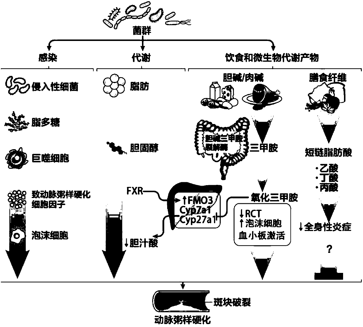 Model and constructing method thereof