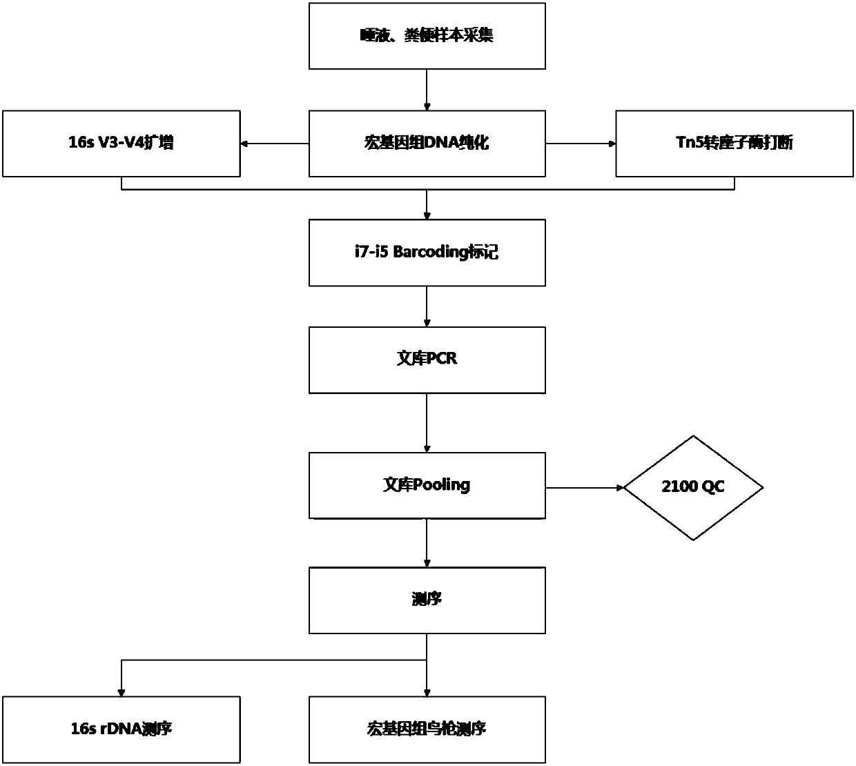 Model and constructing method thereof