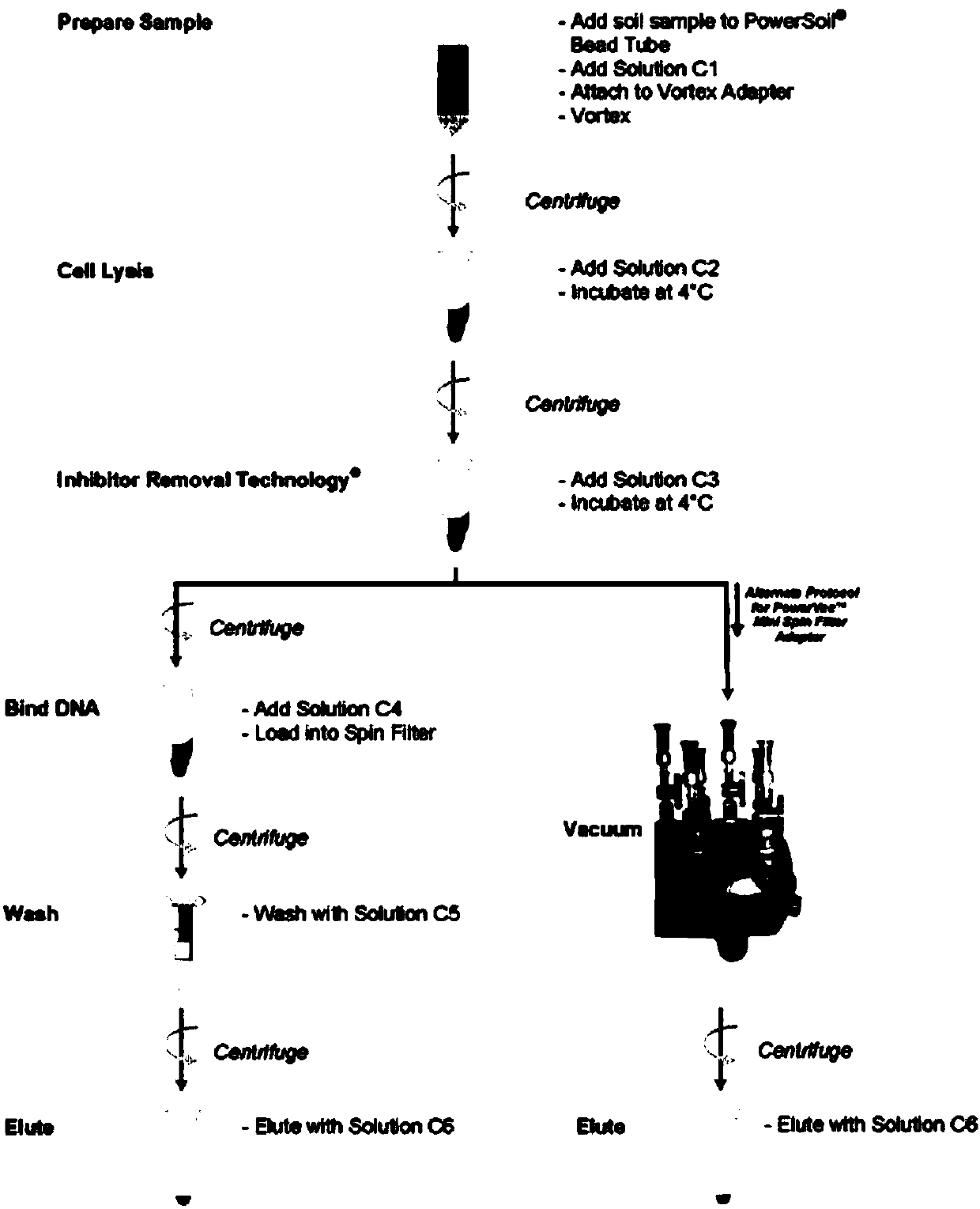 Model and constructing method thereof