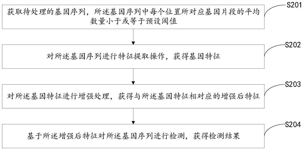 Gene detection method, feature extraction method, device, equipment and system