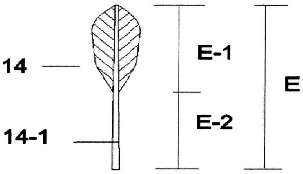 Feather for shuttlecock for badminton, and shuttlecock for badminton using the feather