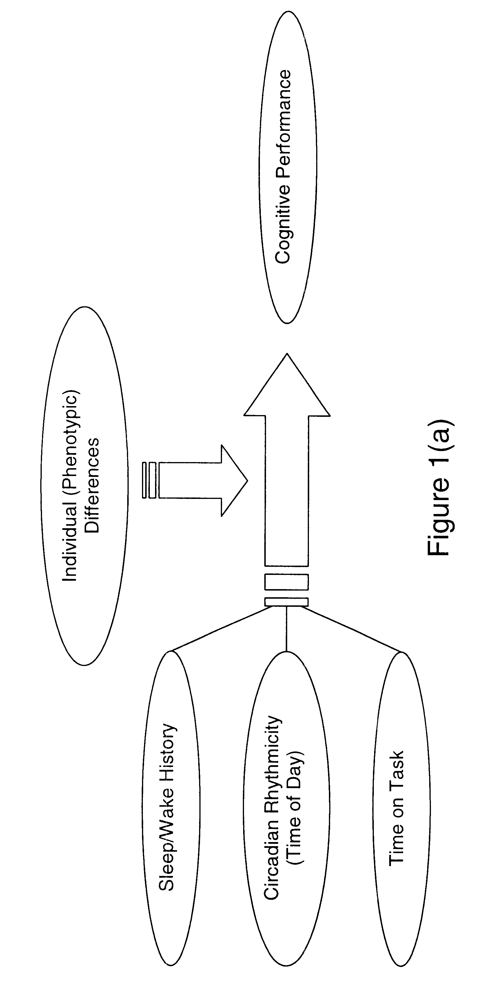 Method and system for predicting human cognitive performance
