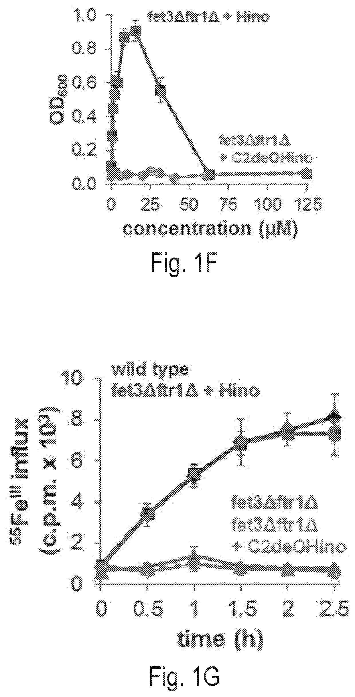 Hinokitiol analogues, methods of preparing and pharmaceutical compositions thereof