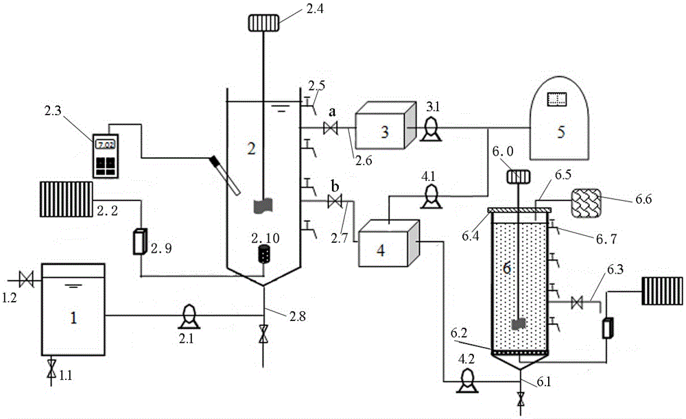 Device and method for recovering nitrogen and phosphorus in sewage and improving biological productivity of microalgae