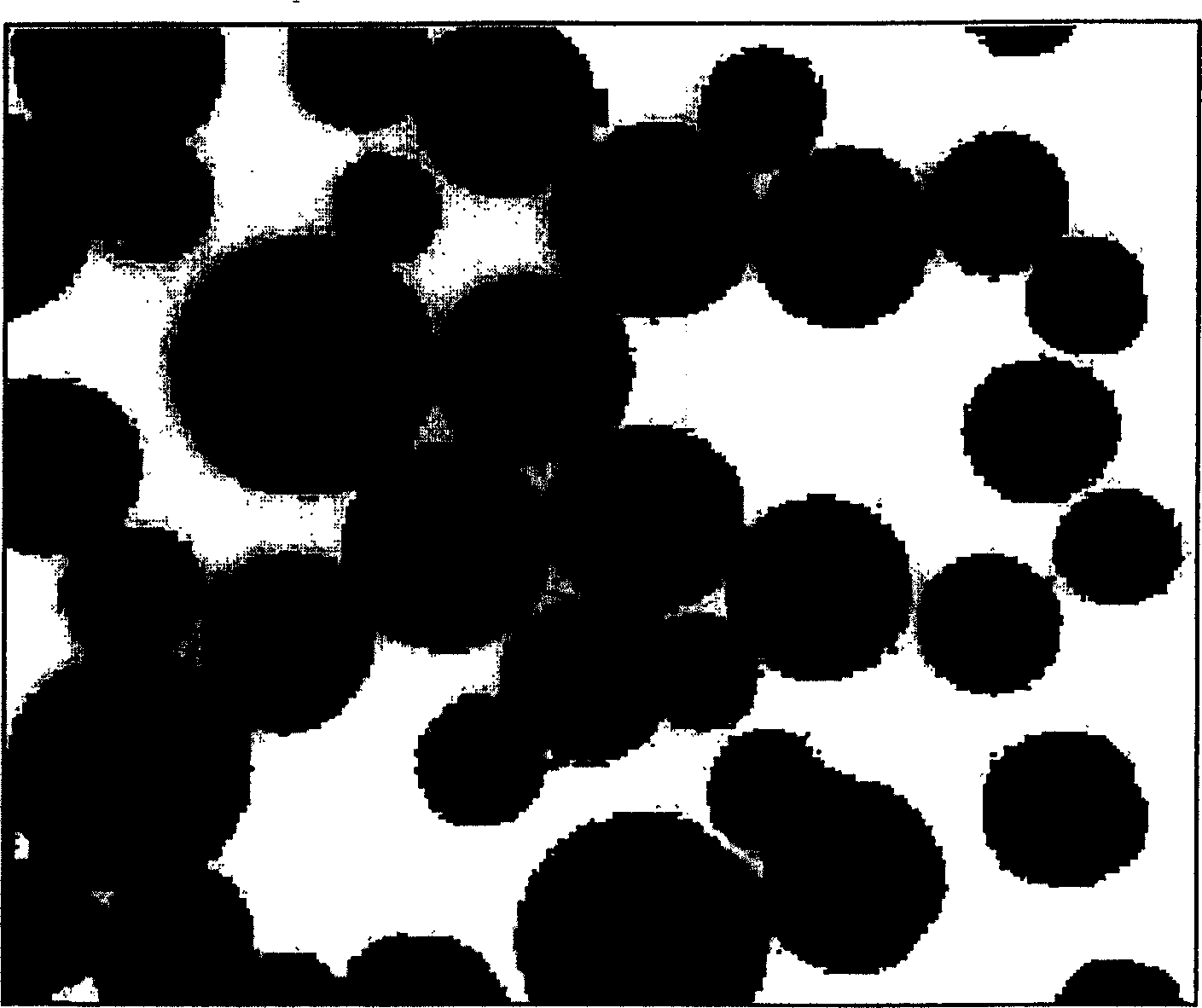 Homogeneous composite cellulose/titanium oxide powder microspheres and its preparing process