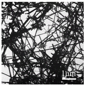 A method for catalytically preparing copper indium tellurium nanowires