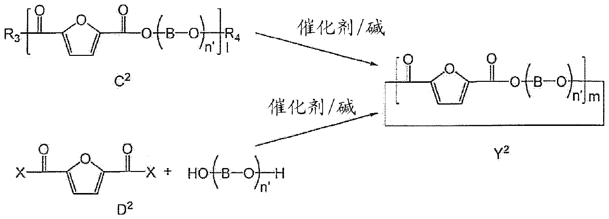Process to prepare cyclic oligomer and cyclic oligomer obtainable thereby and process to polymerize SAME