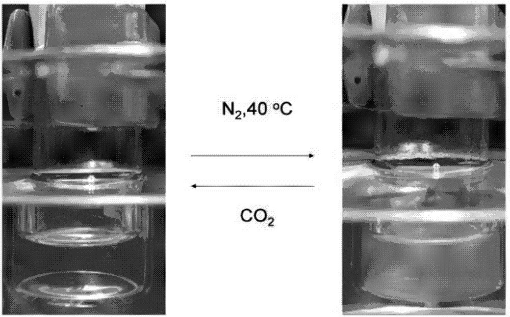 Chiral CO2 responsive vinyl amino acid polymer and preparation method thereof