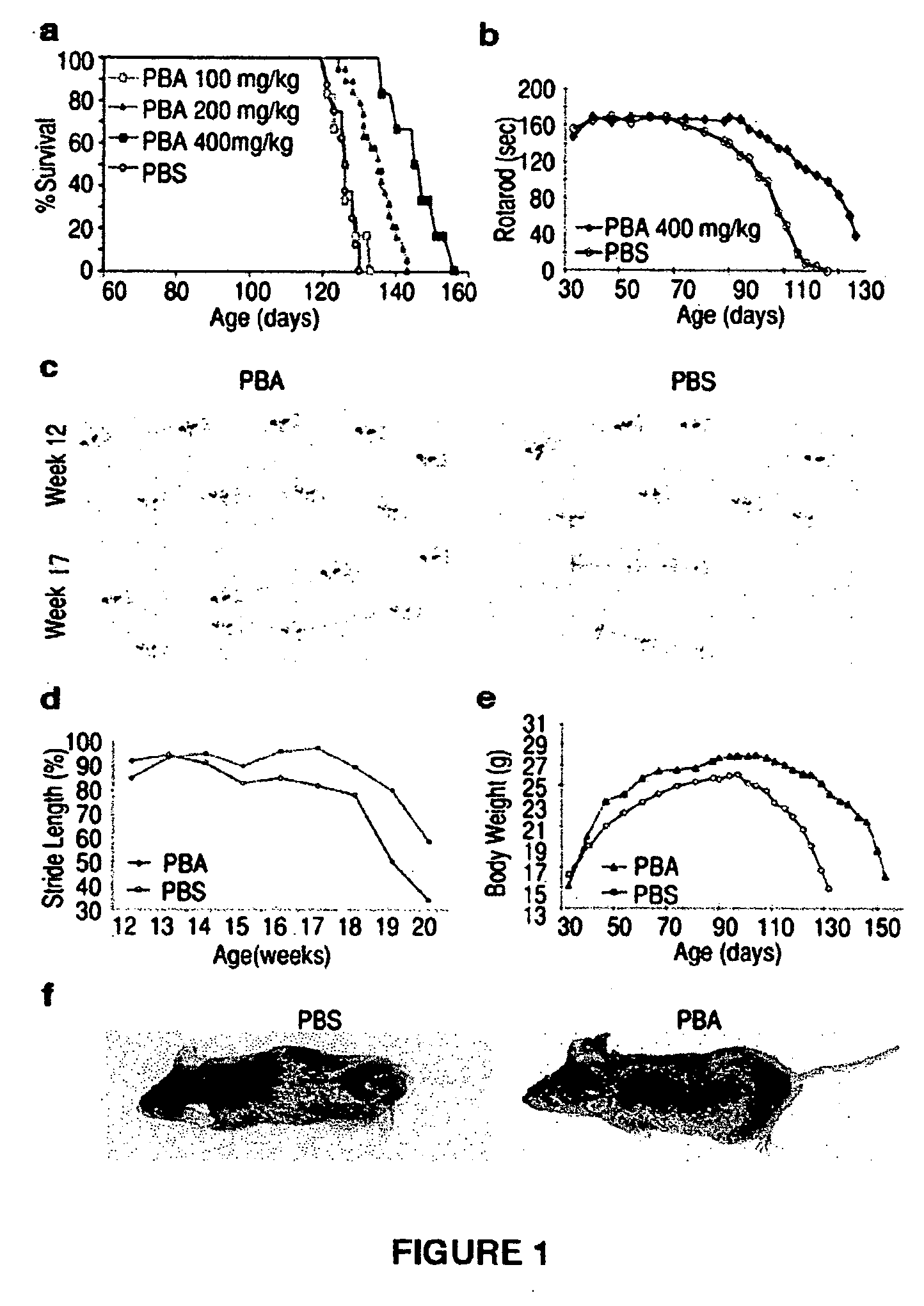 Method of ameliorating or abrogating the effects of a neurodegenerative disorder, such as amyotrophic lateral sclerosis (ALS), by using a HDAC inhibiting agent