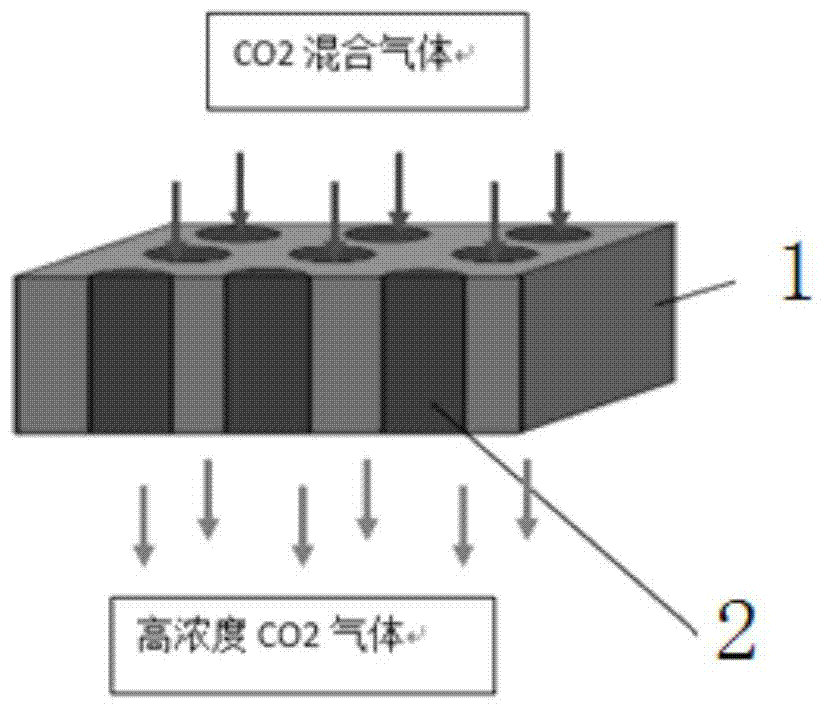 Liquid Supported Carbon Dioxide Separation Membrane