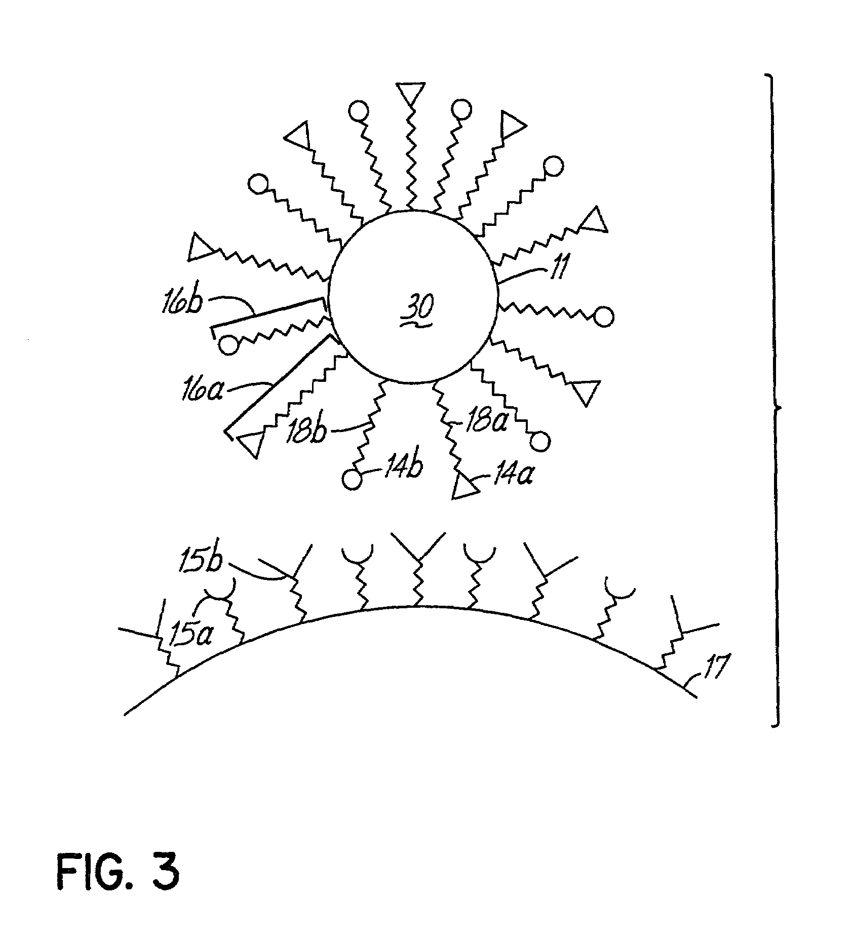 Multicomponent assemblies having enhanced binding properties for diagnosis and therapy