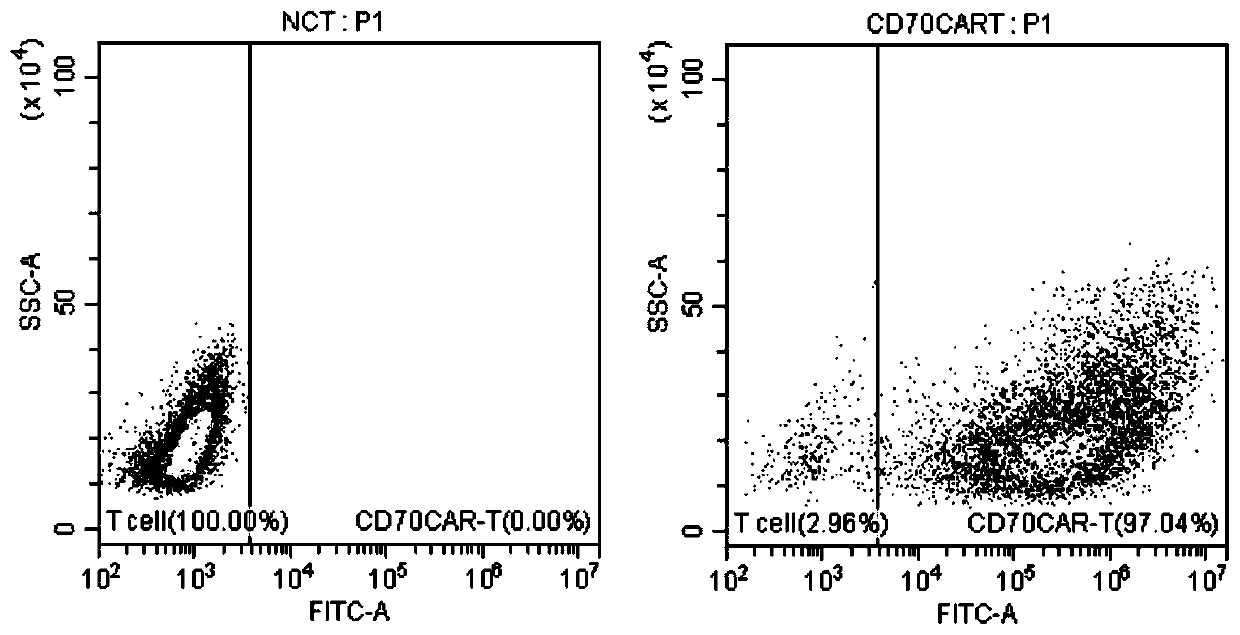 Anti CD70 CAR-T cell and preparation method and application thereof