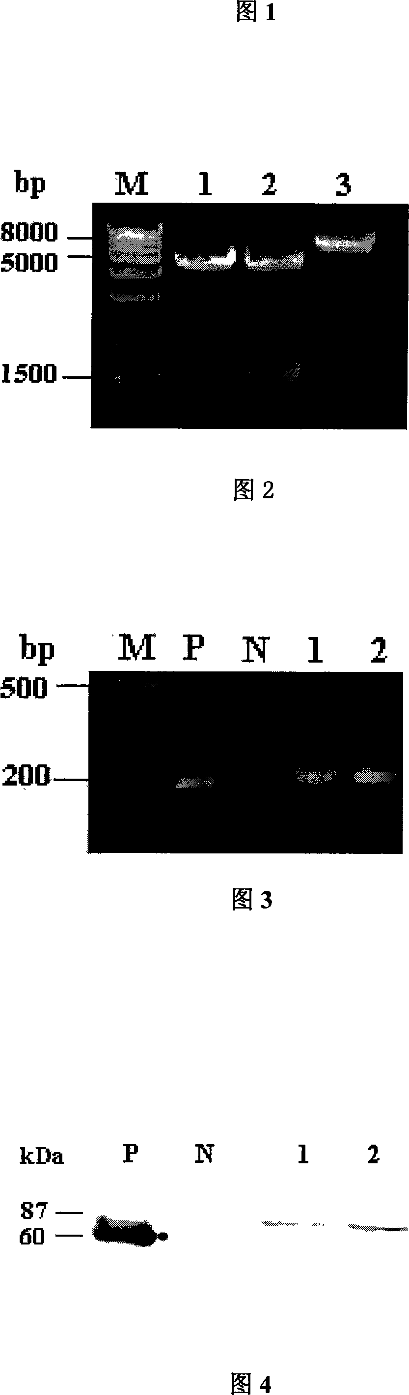 Method for improving secernment efficiency of recombined protein