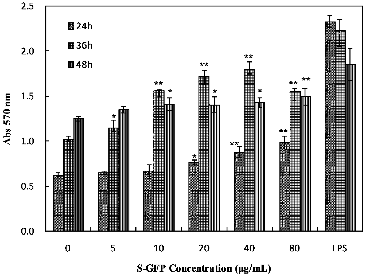 A kind of sulfated Grifola frondosa water-insoluble polysaccharide and its application