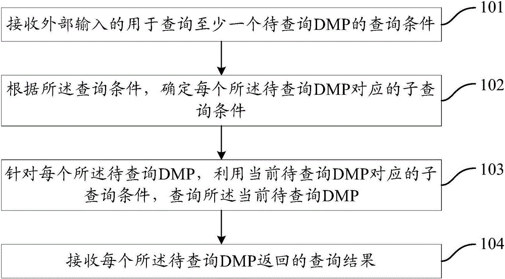 DMP querying method and device