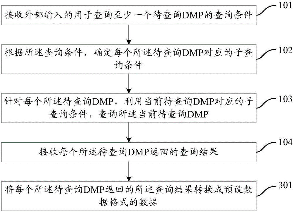 DMP querying method and device