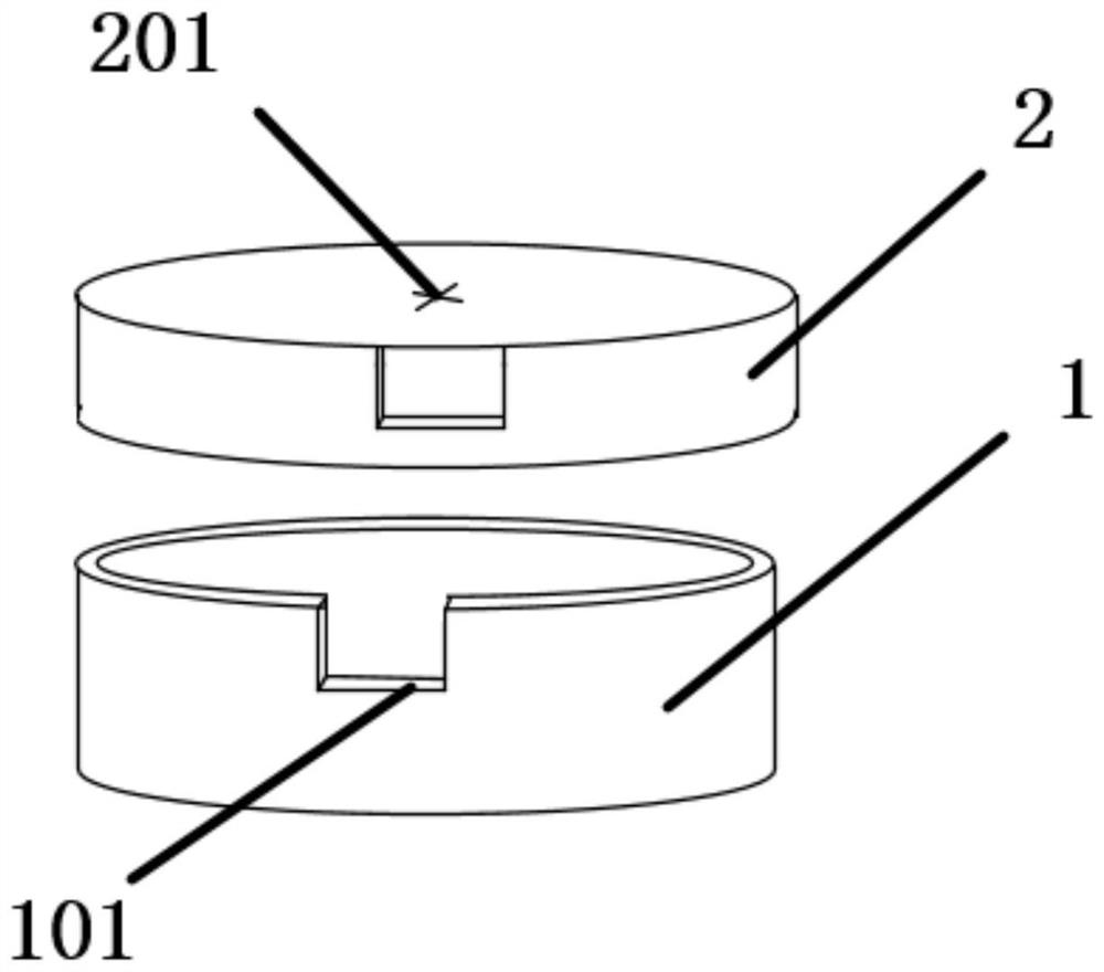 Vegetable leaf microorganism collecting device