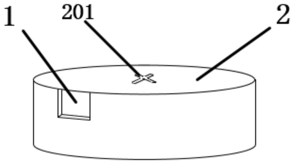 Vegetable leaf microorganism collecting device