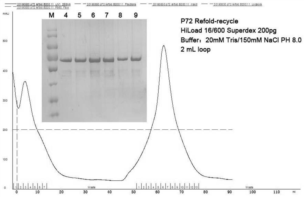 Eukaryotic-expression African swine fever virus p72 antigen and application thereof
