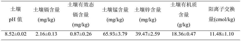 Regulating agent suitable for heavy metal cadmium pollution remediation of alkaline soil, preparation method and application