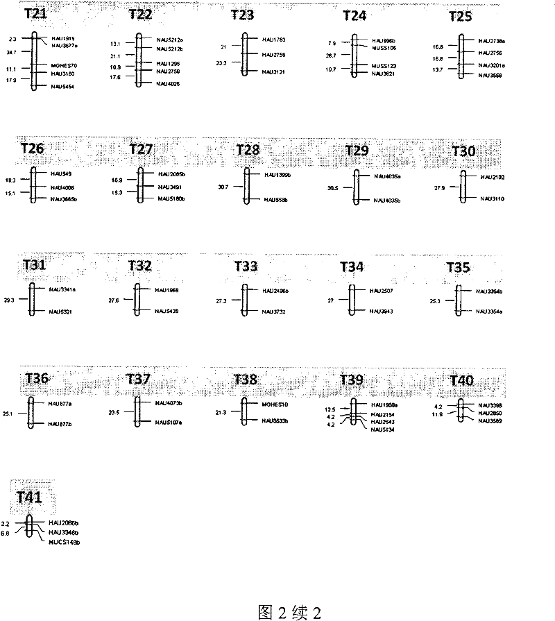 Method for building cotton fiber transcription genetic linkage map by EST-SSR sign