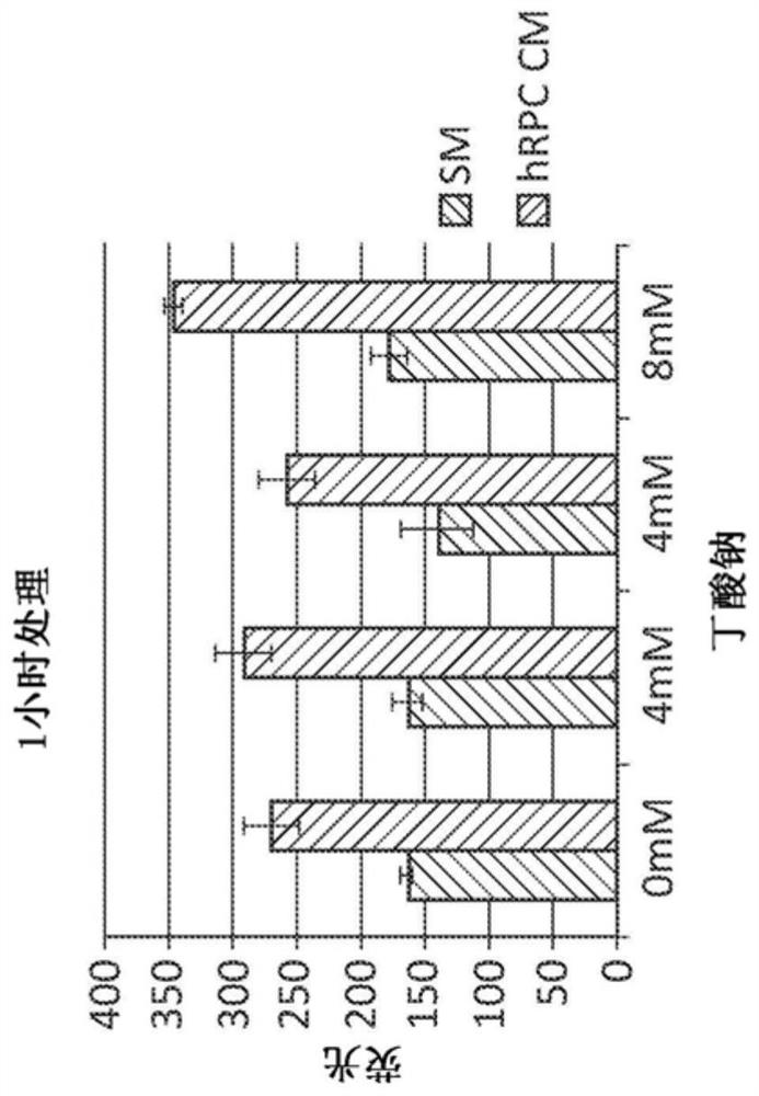 Assays for cell-based therapies or treatments