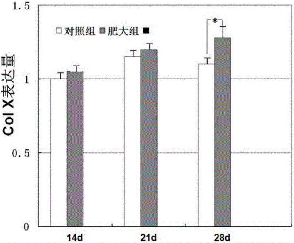 Tissue engineered bone based on endochondral osteogenesis system and its construction method