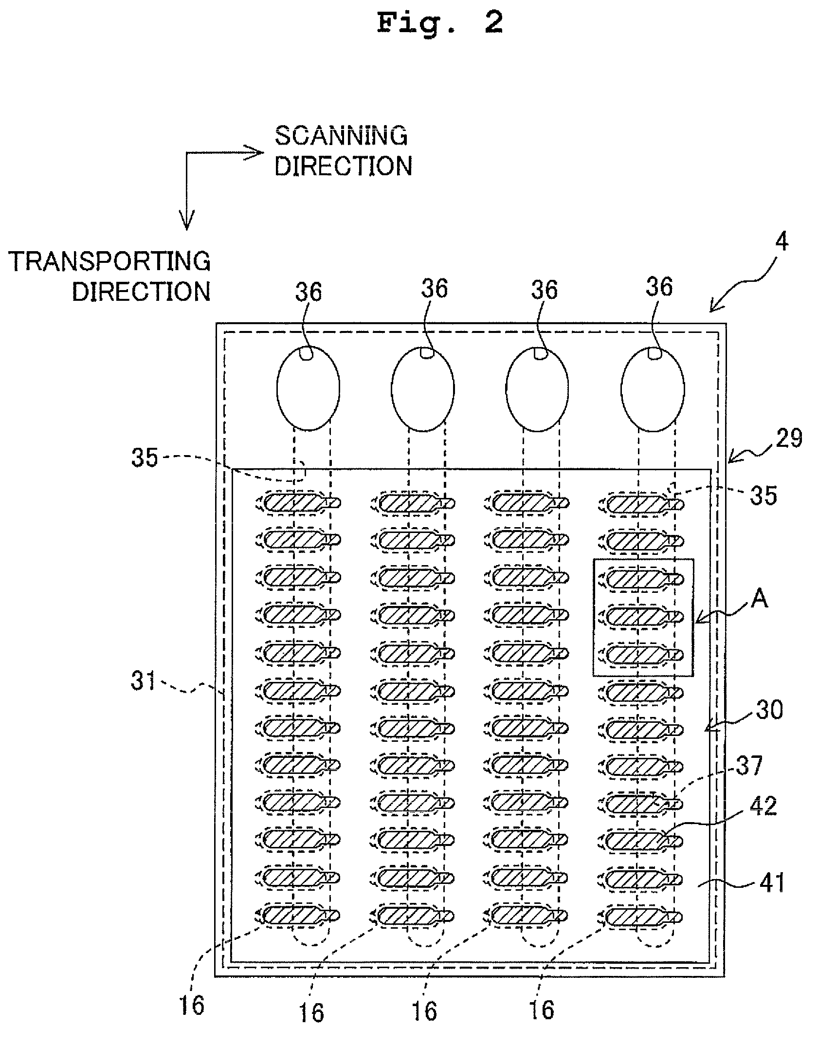 Liquid jetting apparatus