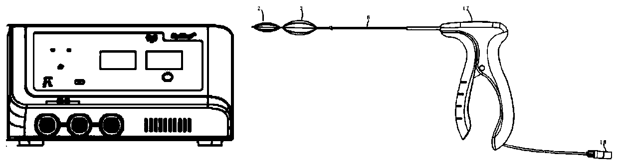 Multi-pole ablation device