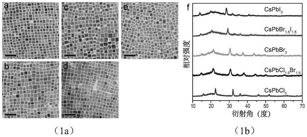 Quantum dot-rare earth long afterglow composite luminescent material as well as preparation method and application thereof